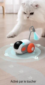 Chat blanc curieux jouant avec un robot interactif lumineux et amusant.