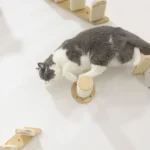 Un chat gris et blanc joue sur une structure en bois interactive et esthétique.