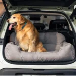 Golden retriever détendu dans une voiture, sur un lit douillet et confortable.