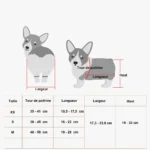 Diagramme Corgi avec tableau des tailles pour vêtements et accessoires pour chiens.