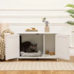 Intérieur cosy avec un chat dans un cabinet blanc et une décoration élégante.