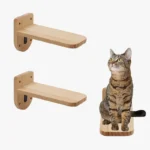 Étagères en bois pour chats avec un tabby curieux, alliant esthétique et fonctionnalité.