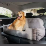 Golden retriever détendu dans un siège pour animaux confortable dans une voiture moderne.