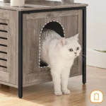 Maison pour chat moderne en bois, avec un chat blanc curieux à lintérieur.