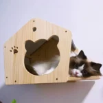 Charmante maison en bois pour chat avec un félin curieux à lintérieur.