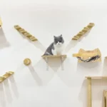 Espace de jeu pour chats avec étagères en bois et un chat gris et blanc.