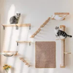 Mur grimpant moderne pour chats avec étagères en bois et espaces de jeu.