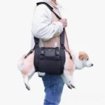 Personne décontractée portant un corgi dans un porte-chien moderne et élégant.