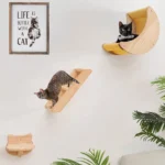 Espace moderne et chaleureux pour chats, avec étagères en bois et confort félin.