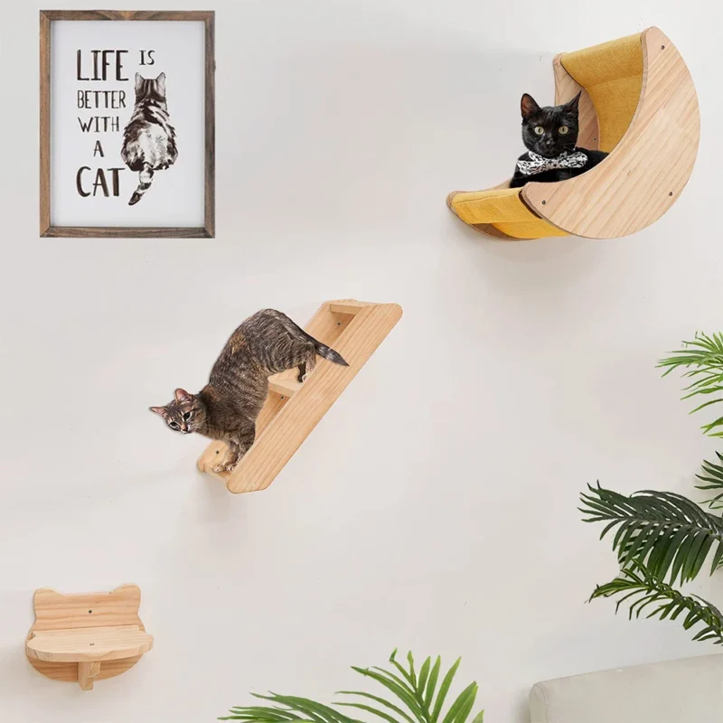 Espace moderne et chaleureux pour chats, avec étagères en bois et confort félin.