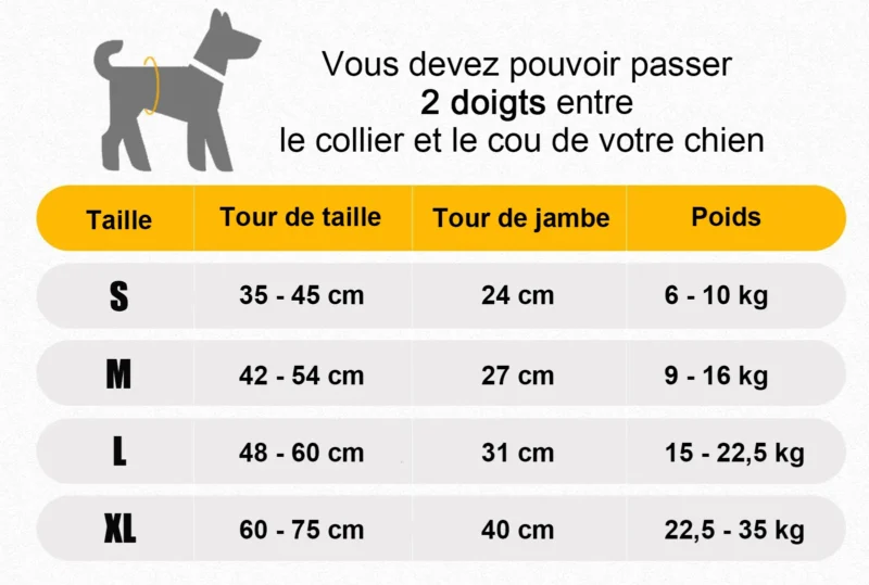 Guide des tailles de colliers pour chiens : mesures pour un ajustement confortable et sécurisé.