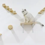 Structure murale moderne pour chats, offrant jeu et confort dans un intérieur élégant.