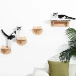 Système mural moderne pour chats, design minimaliste noir et blanc dans un intérieur élégant.