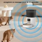 Distributez des repas avec un distributeur moderne pour chats, idéal pour un espace accueillant.