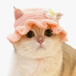 Chat adorable avec un chapeau en crochet rose et une jolie fleur blanche.