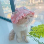 Un chat blanc mignon avec un chapeau rose, posé près dune fenêtre sur une ville.