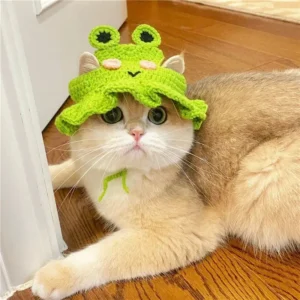 Un chat fluffy portant un chapeau vert en crochet, relaxé sur un sol en bois chaleureux.