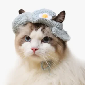 Chat adorable avec un chapeau fleuri et des yeux bleus captivants.