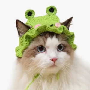 Un chat adorable avec un chapeau de grenouille vert, charmant et amusant.