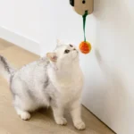 Un chat gris joue avec un pompon orange et jaune, éveillant sa curiosité.