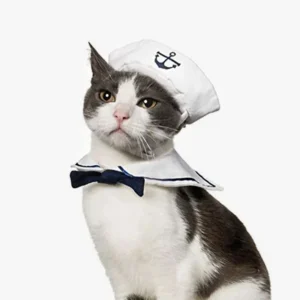 Chat adorable en costume de marin, curieux et fier, sur fond blanc.