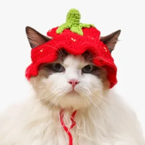 Chat adorable avec un chapeau de fraise sur fond blanc.