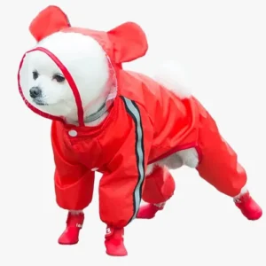 Chien fluffy en manteau rouge avec bottes, élégant et protégé contre les intempéries.