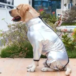 Un labrador en costume argenté joue joyeusement dans un jardin coloré.