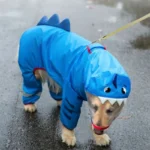 Chien adorable en costume de requin, curieux sous la pluie, ambiance festive et ludique.