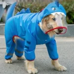 Un golden retriever joyeux en manteau de pluie bleu en forme de requin.