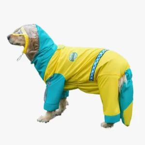 Chien en manteau de pluie jaune et turquoise, joyeux et protégé contre les intempéries.