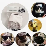 Costume nautique pour animaux : chapeaux de marin amusants pour chats et chiens.