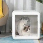 Deux chats heureux dans une maison moderne en cube, ambiance chaleureuse et conviviale.