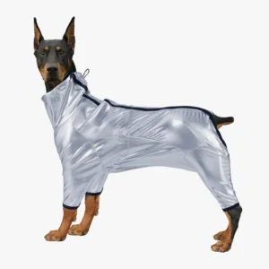 Doberman élégant en tenue métallique argentée, avec oreilles dressées et pose confiante.