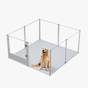 Enclos transparent pour chien, idéal pour le jeu et la sécurité des animaux de compagnie.