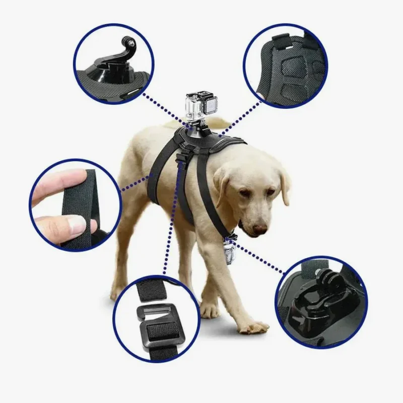 Harnais pour chien avec caméra, idéal pour immortaliser les aventures de votre Labrador.