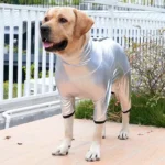 Labrador heureux en costume futuriste argenté, jouant dans un jardin ensoleillé.