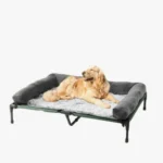 Lit confort pour chien avec golden retriever, design élégant et matériaux doux.