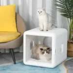 Chic salon moderne avec cube blanc pour chats et Ragdoll détendu à lintérieur.