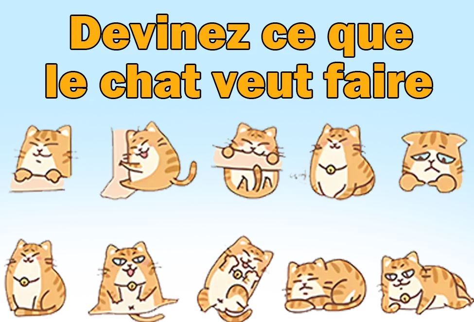 La signification des différents comportements et habitudes des chats