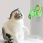 Un chat curieux explore un jouet interactif vert dans un intérieur lumineux et accueillant.