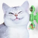 Chat gris et blanc souriant avec un jouet vert, moment de jeu joyeux.