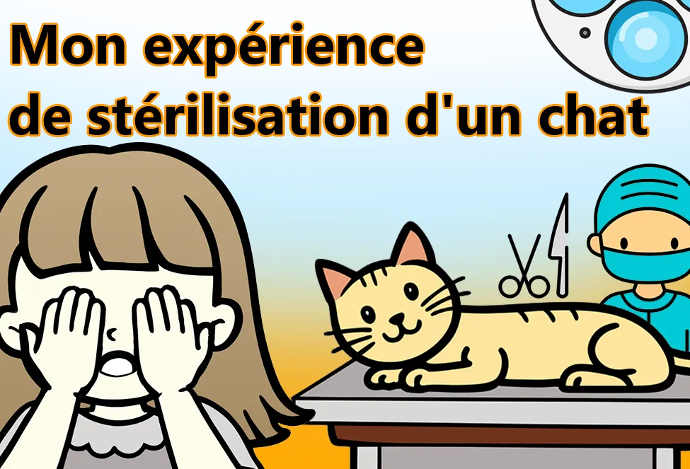 Mon expérience de stérilisation d'un chat