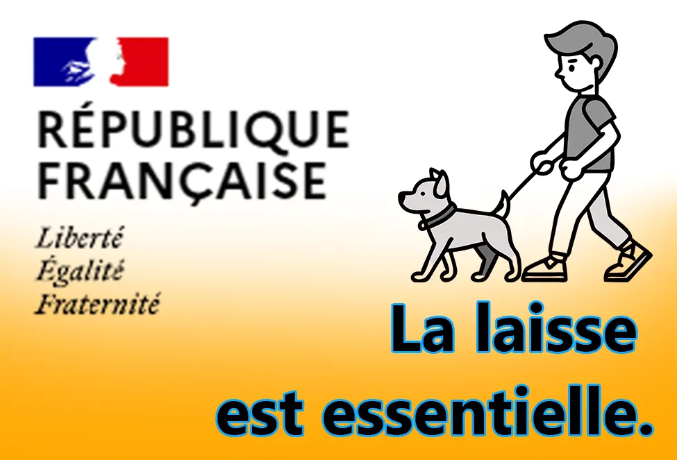 La loi stipule qu'une laisse doit être utilisée pour promener le chien