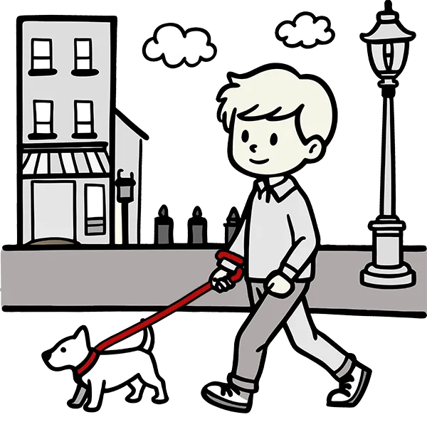 Il est important de promener le chien avec une laisse