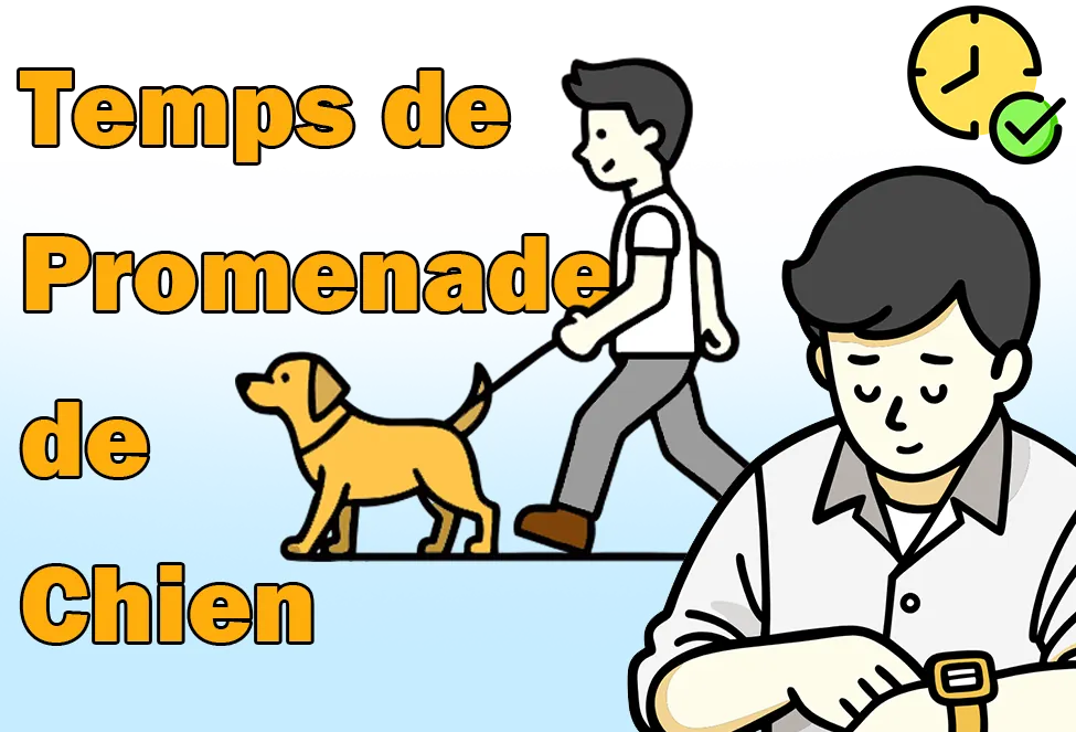 Calcul du temps de promenade d'un chien