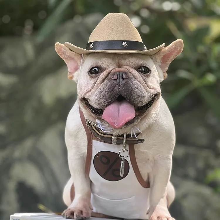 Chapeau Pour Chien Déguisement Cow-boy photo review