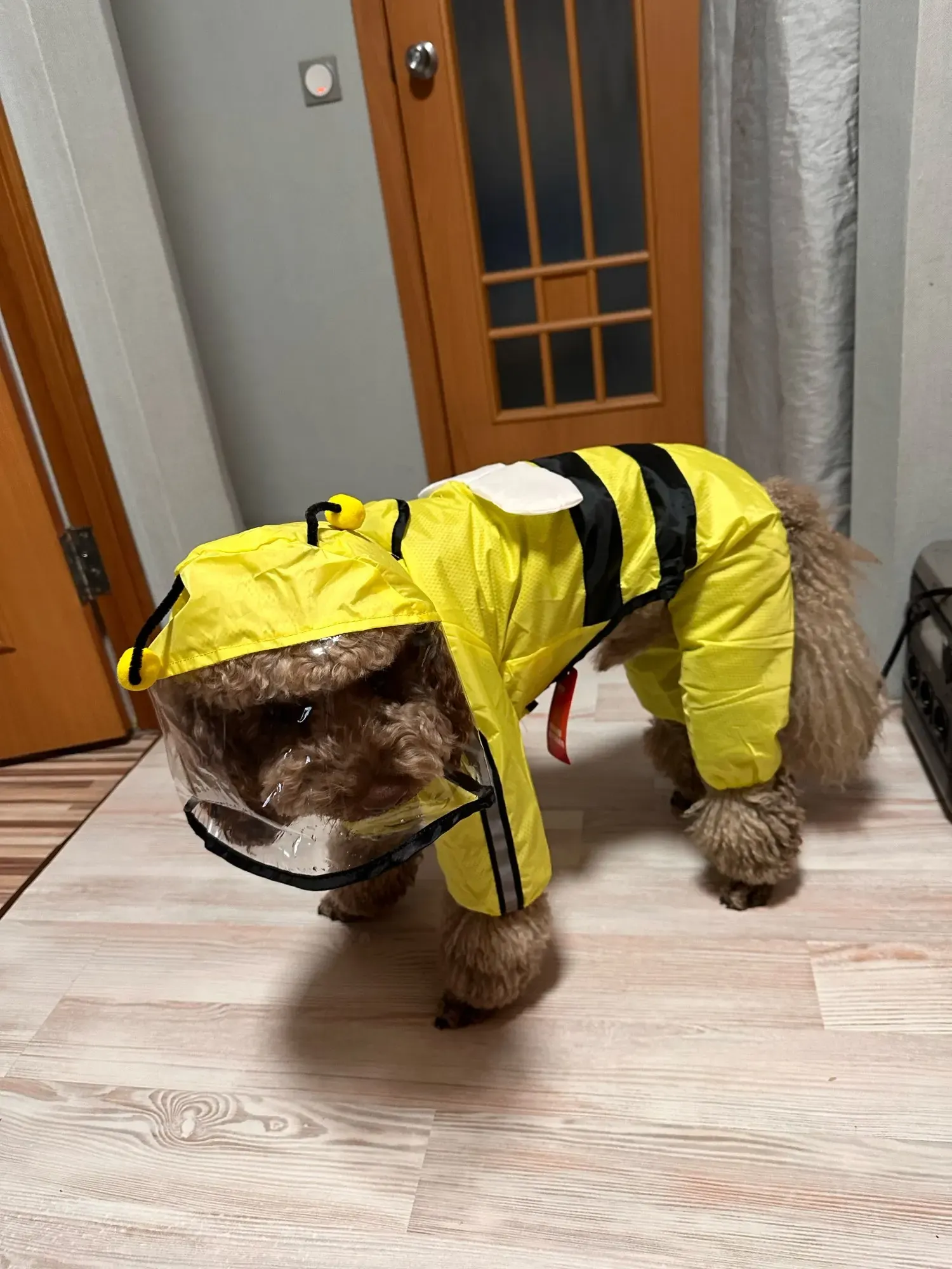 Imperméable Chien À Capuche Carino photo review