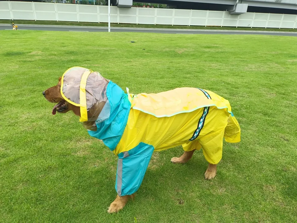 Imperméable Chien Junto photo review