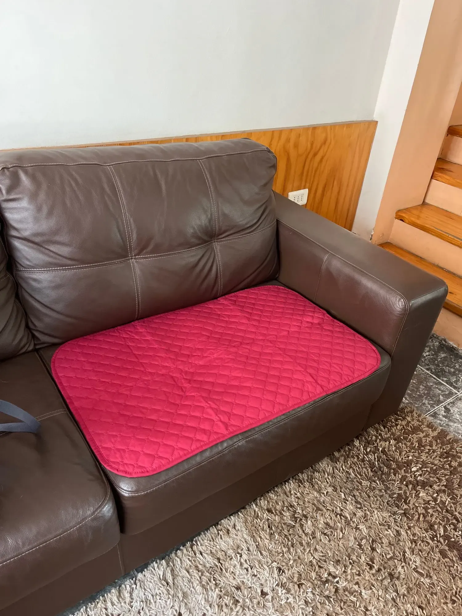 Tapis Pour Chien Imperméable Sicher photo review